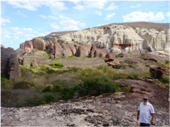 Outcrops of the fluvial sediments of the Silurian Jaicós Formation in the Capivara National Park on the SE margin of the Parnaiba basin. (Famous Brazilian geophysicist, Vander Andrade, in the foreground).
